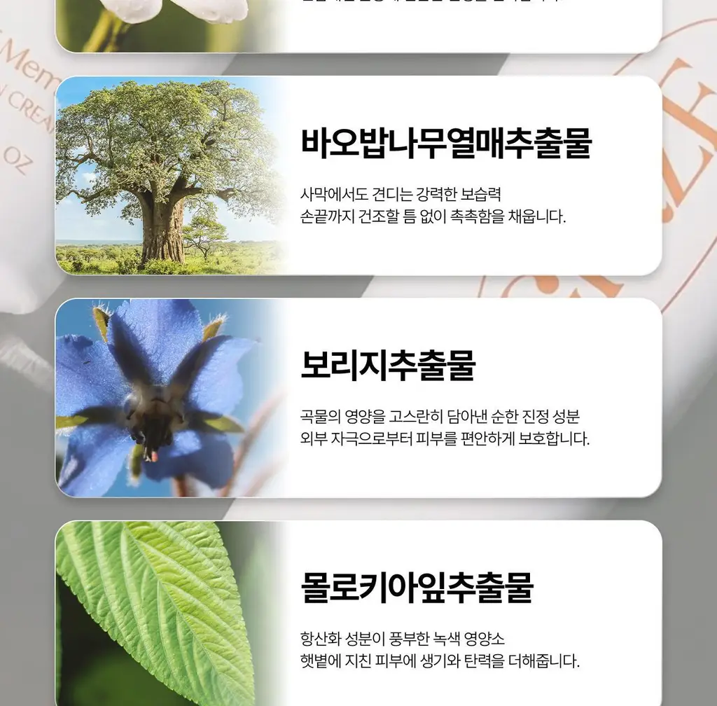 그레이즈포인트 핸드선크림 50ml (에어오브메모리/프레젠트프레젠트) 상세페이지 30