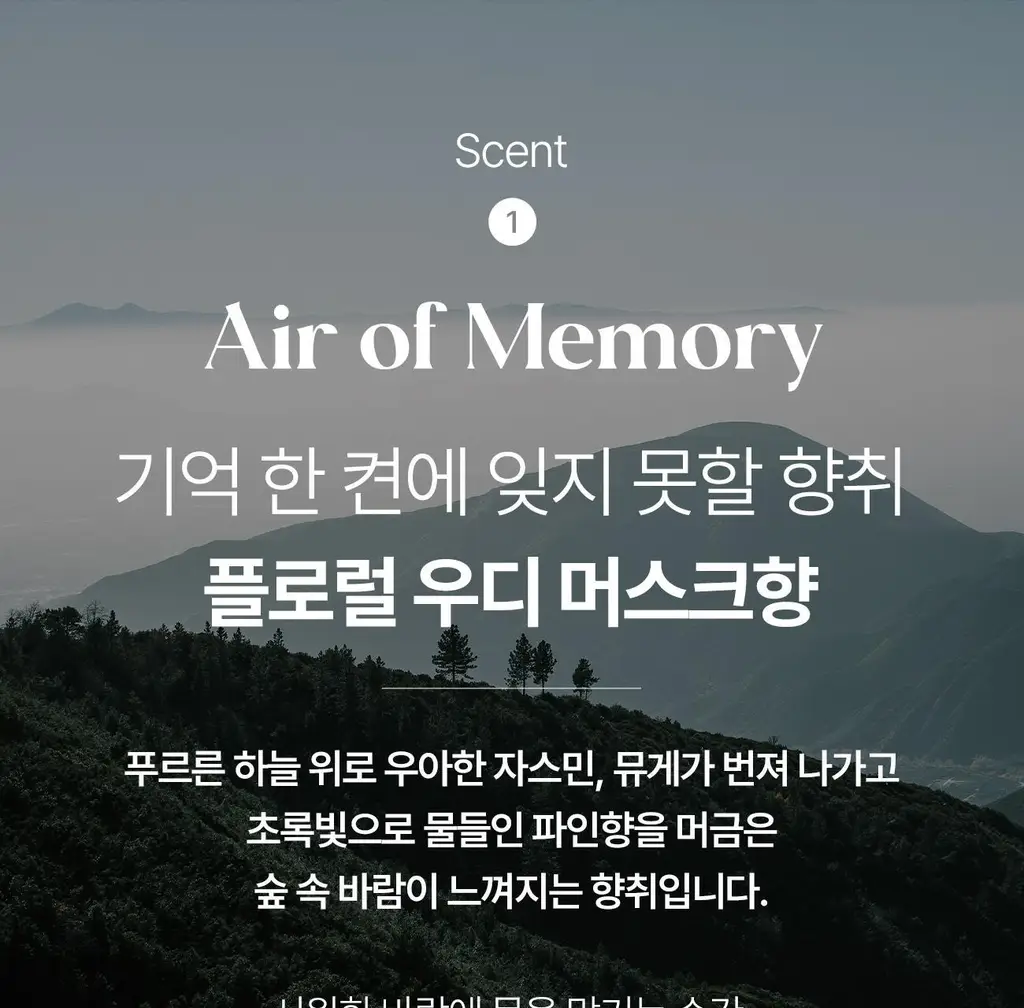 그레이즈포인트 핸드선크림 50ml (에어오브메모리/프레젠트프레젠트) 상세페이지 32