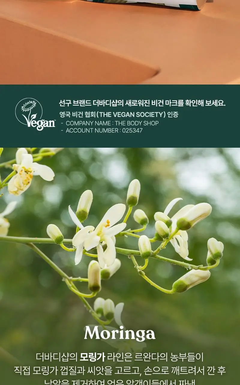 더바디샵 모링가 핸드 밤 100ml 상세페이지 2