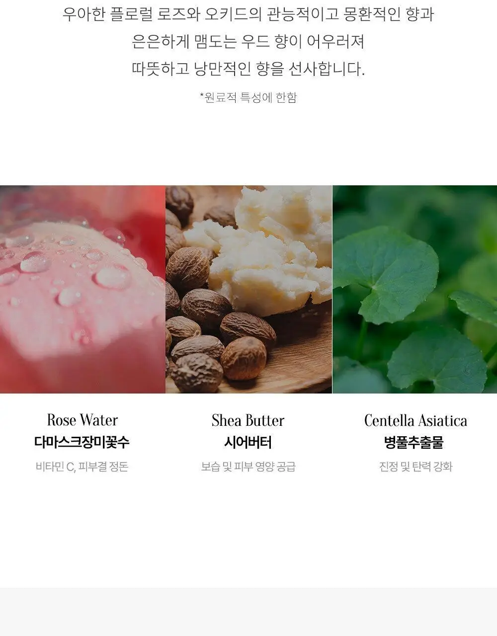 딥퍼랑스 퍼퓸 핸드크림 50ml 4종 택 1 (화이트머스크/로지로즈/프레쉬모먼트/프렌치레더) 상세페이지 5