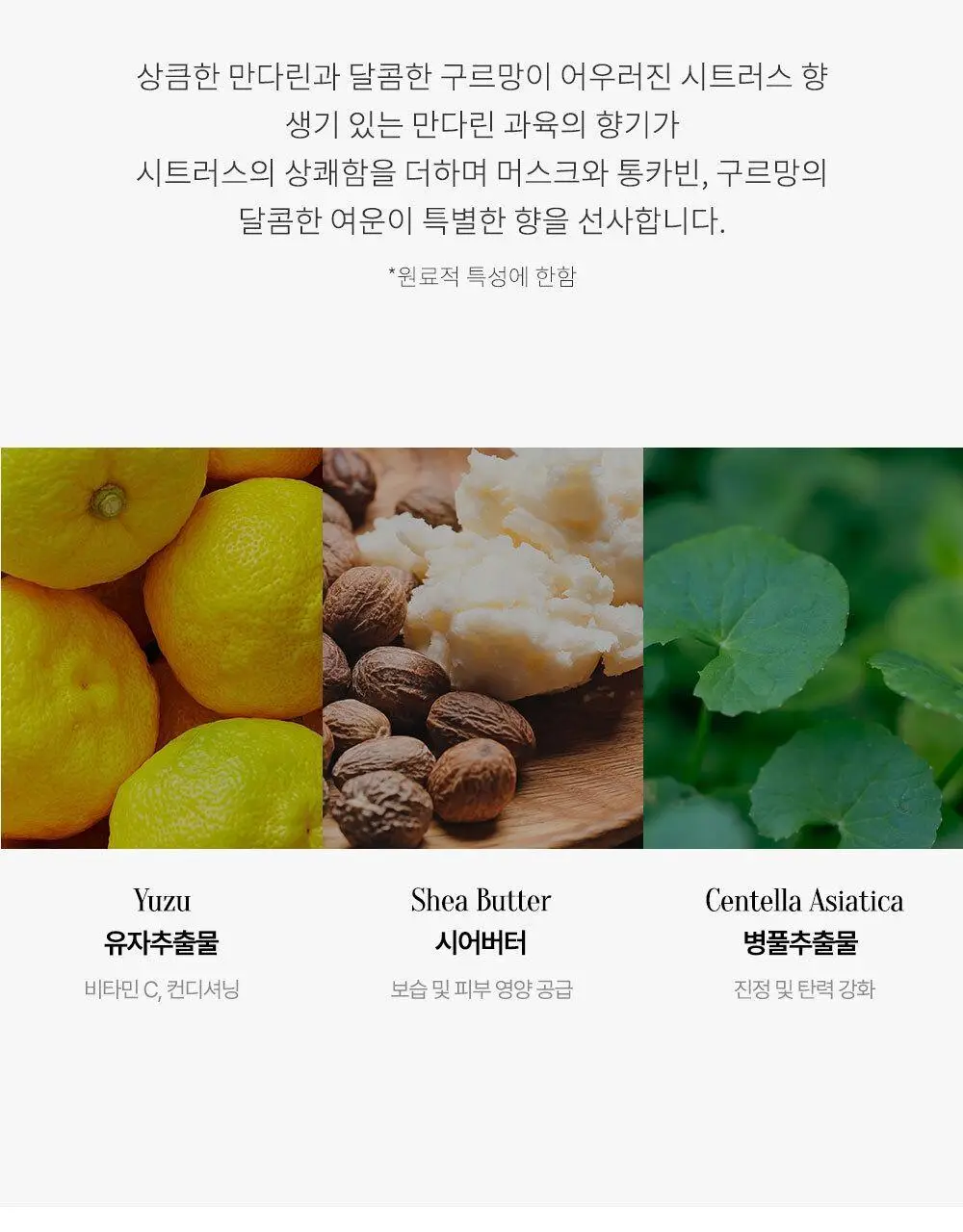 딥퍼랑스 퍼퓸 핸드크림 50ml 4종 택 1 (화이트머스크/로지로즈/프레쉬모먼트/프렌치레더) 상세페이지 7