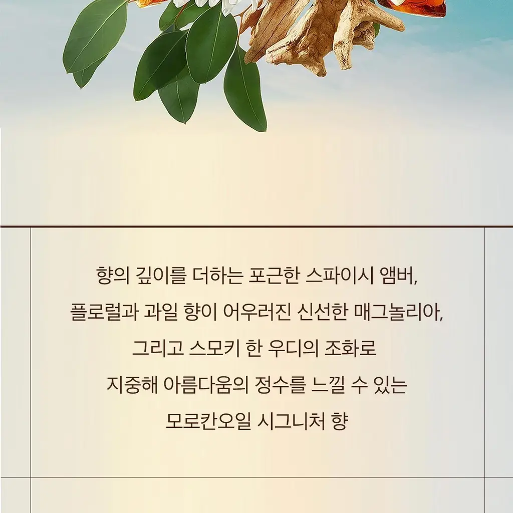 모로칸오일 핸드크림 프래그런스 오리지널 40ml 상세페이지 11