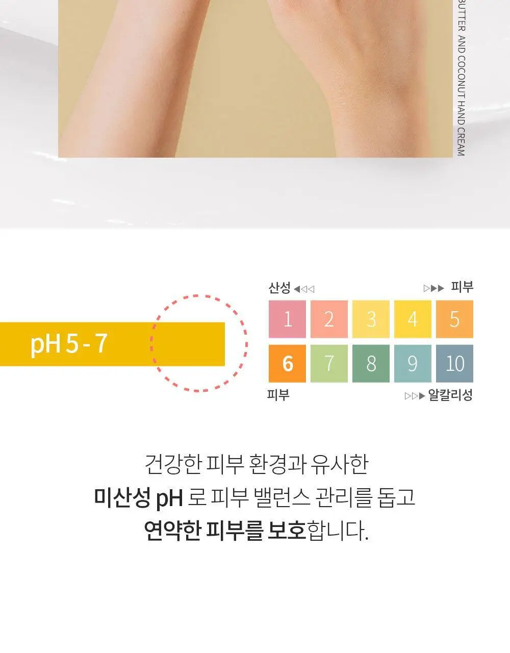 벤튼 시어버터 앤 코코넛 주름개선 핸드크림 50g 상세페이지 9
