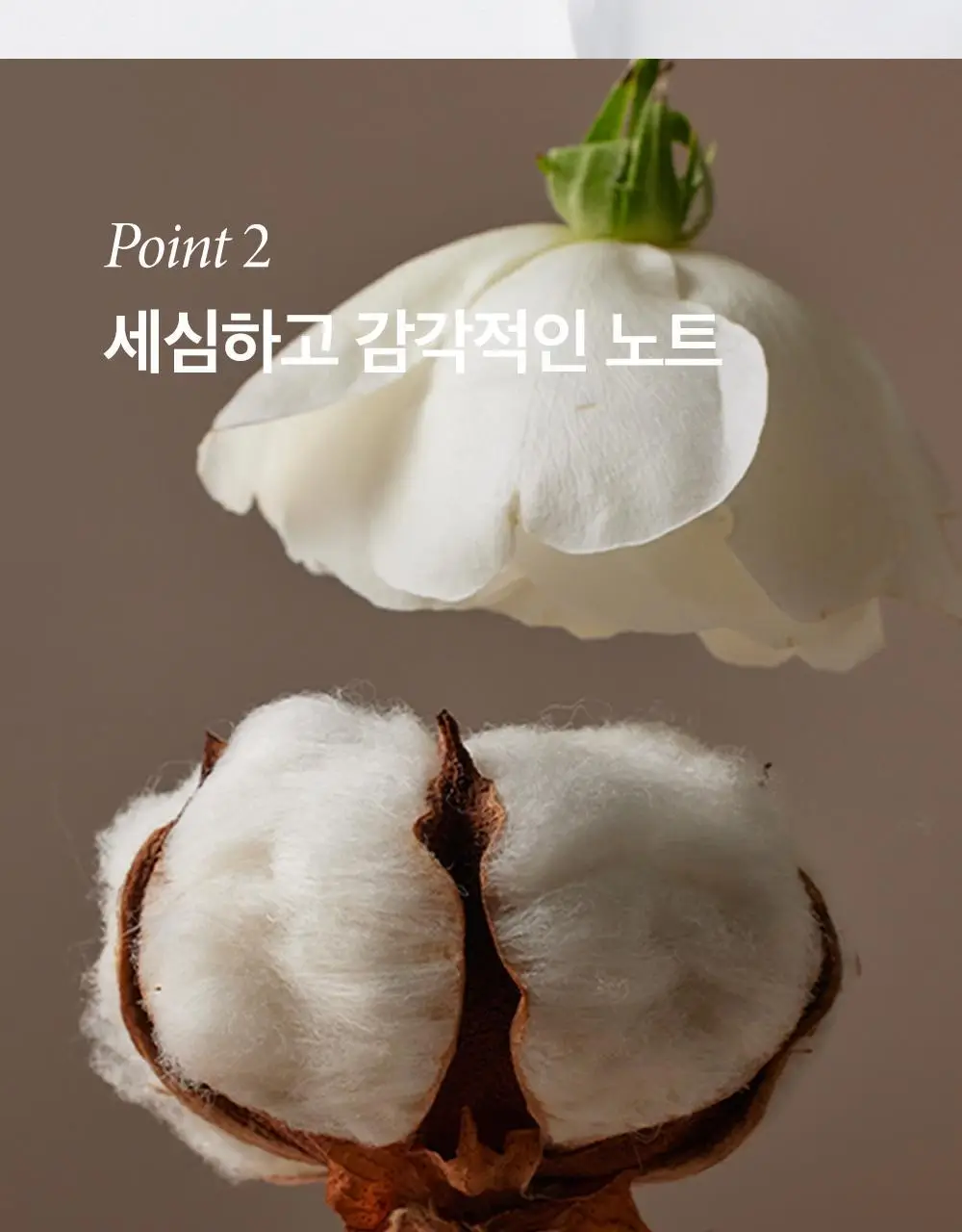 비욘드 클래식 핸드크림 30ml 3종 기프트 세트(30ml+30ml+30ml) 상세페이지 12