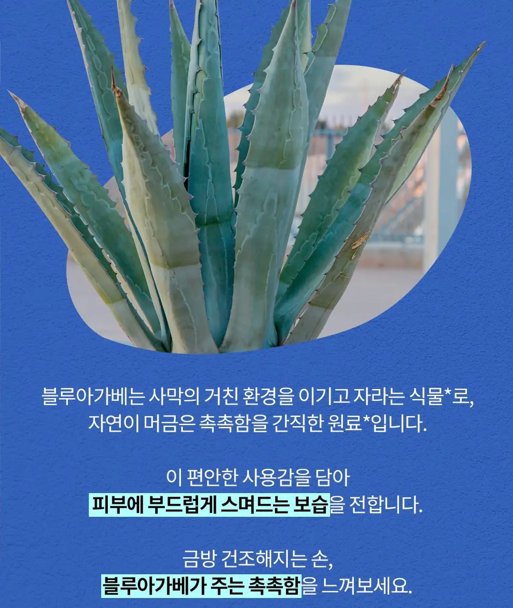 스카이보틀 블루아가베 고보습 무향 핸드크림 50ml 상세페이지 4