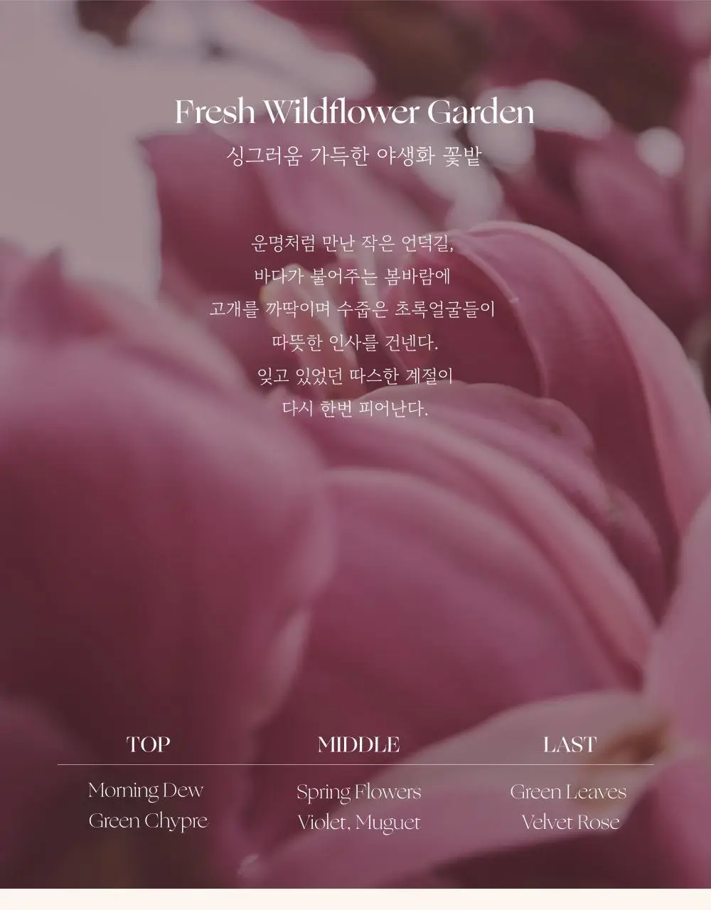 취 핸드&바디로션 300ml 4종 택1 상세페이지 18