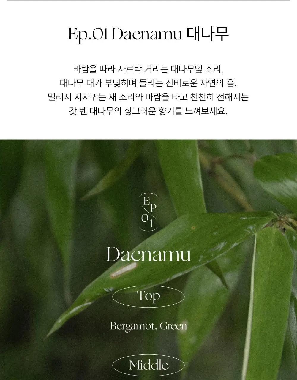 취 핸드크림 세트(대나무+사찰) 50ml*2 상세페이지 10