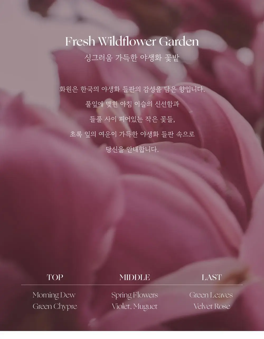 취 핸드크림 화원 50ml 상세페이지 24