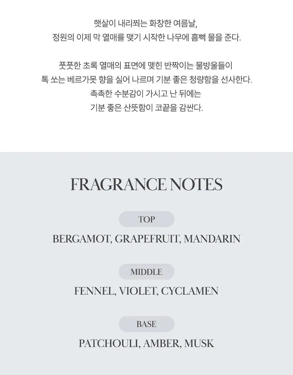 카밀 퍼퓨머리 핸드앤네일 크림 미니 디스커버리 키트 (10ml*6) 상세페이지 12