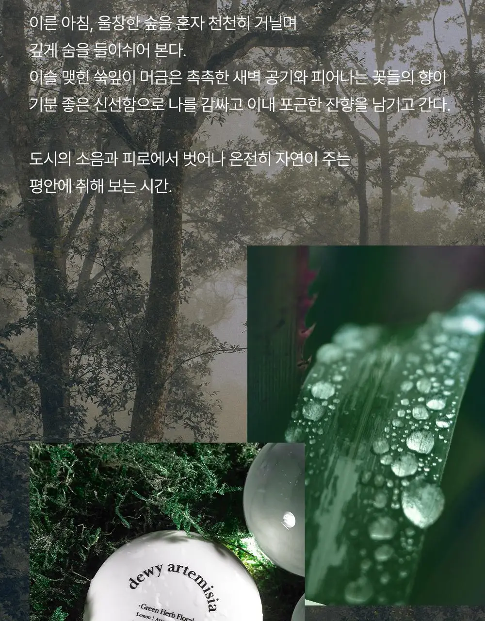 카밀 퍼퓨머리 핸드앤네일 크림 50ml 기획 2종 택1 (+곰돌이 핸드타올) 상세페이지 34