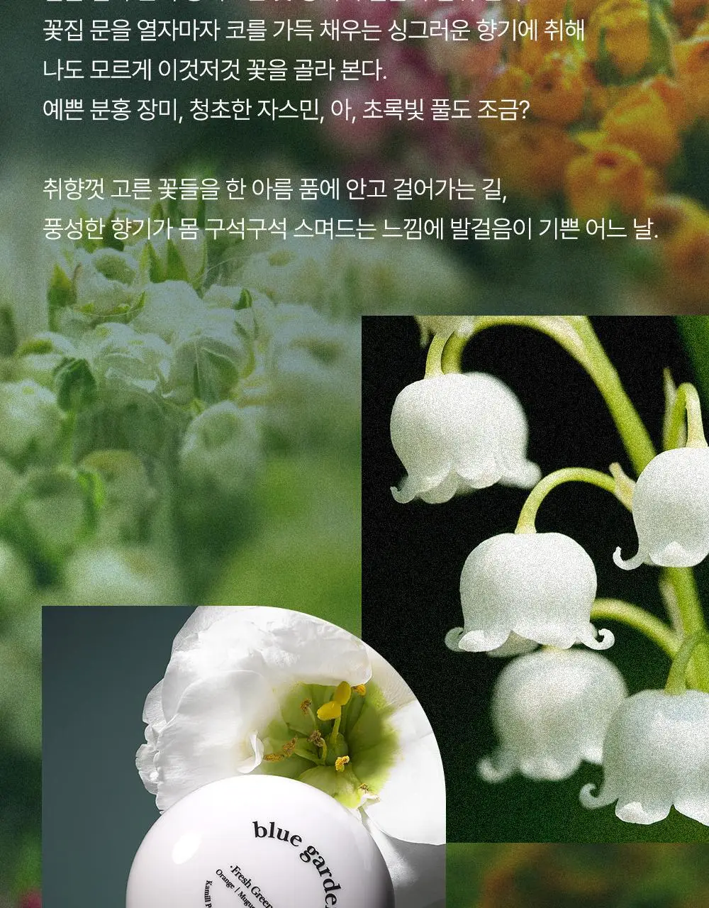 카밀 퍼퓨머리 핸드앤네일 크림 50ml 기획 2종 택1 (+곰돌이 핸드타올) 상세페이지 38