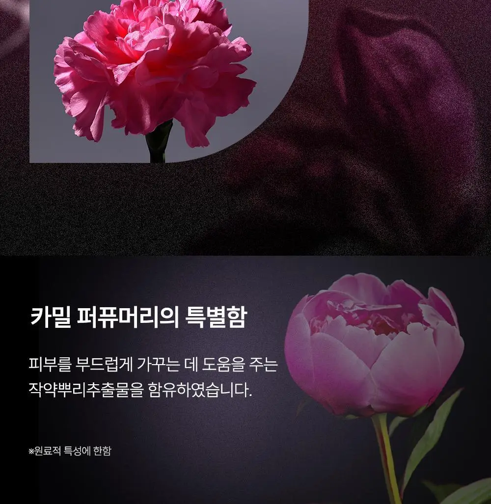 카밀 퍼퓨머리 핸드앤네일 크림 50ml (단품/기획) 10종 택1 상세페이지 19