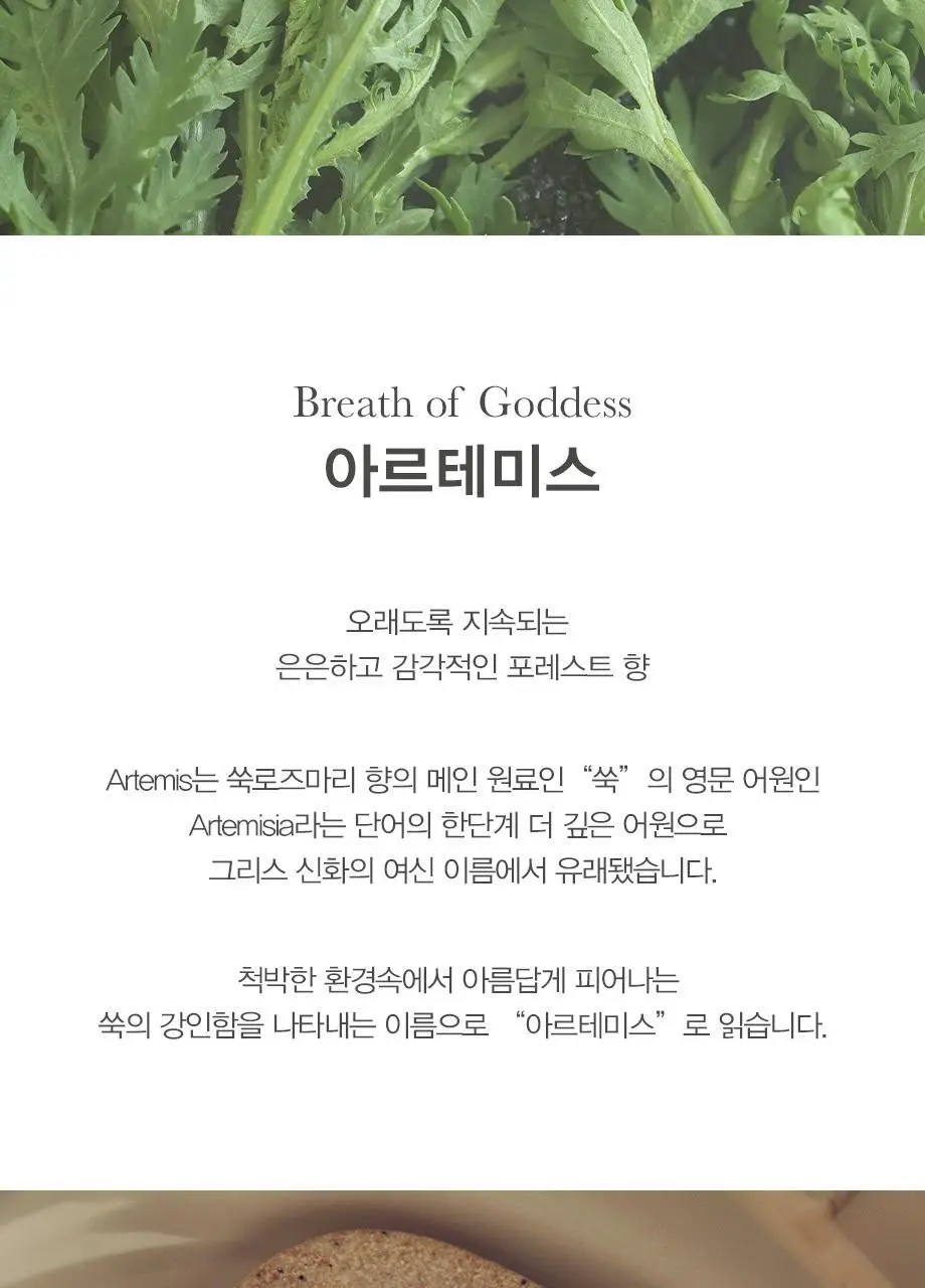 티컬렉티브 너리쉬 핸드크림 아르테미스 70ml 상세페이지 3