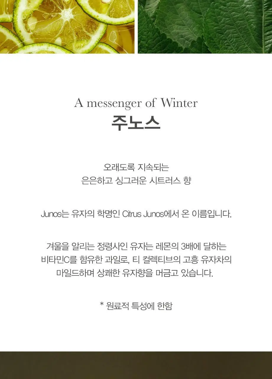 티컬렉티브 핸드크림 70ml 4종 택 1 (아르테미스/주노스/레이터/말차) 상세페이지 6