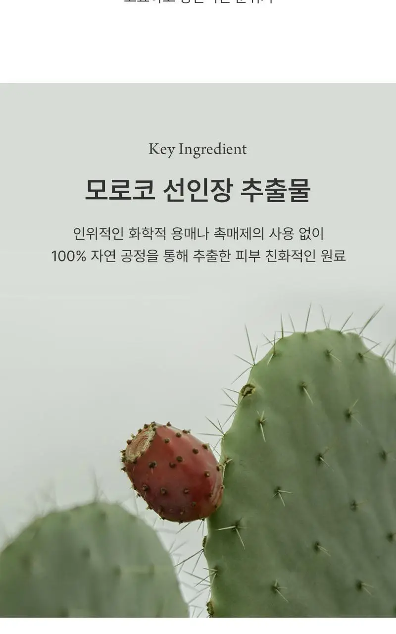 헉슬리 핸드 크림 미스트 35ml 3종 택 1 상세페이지 12