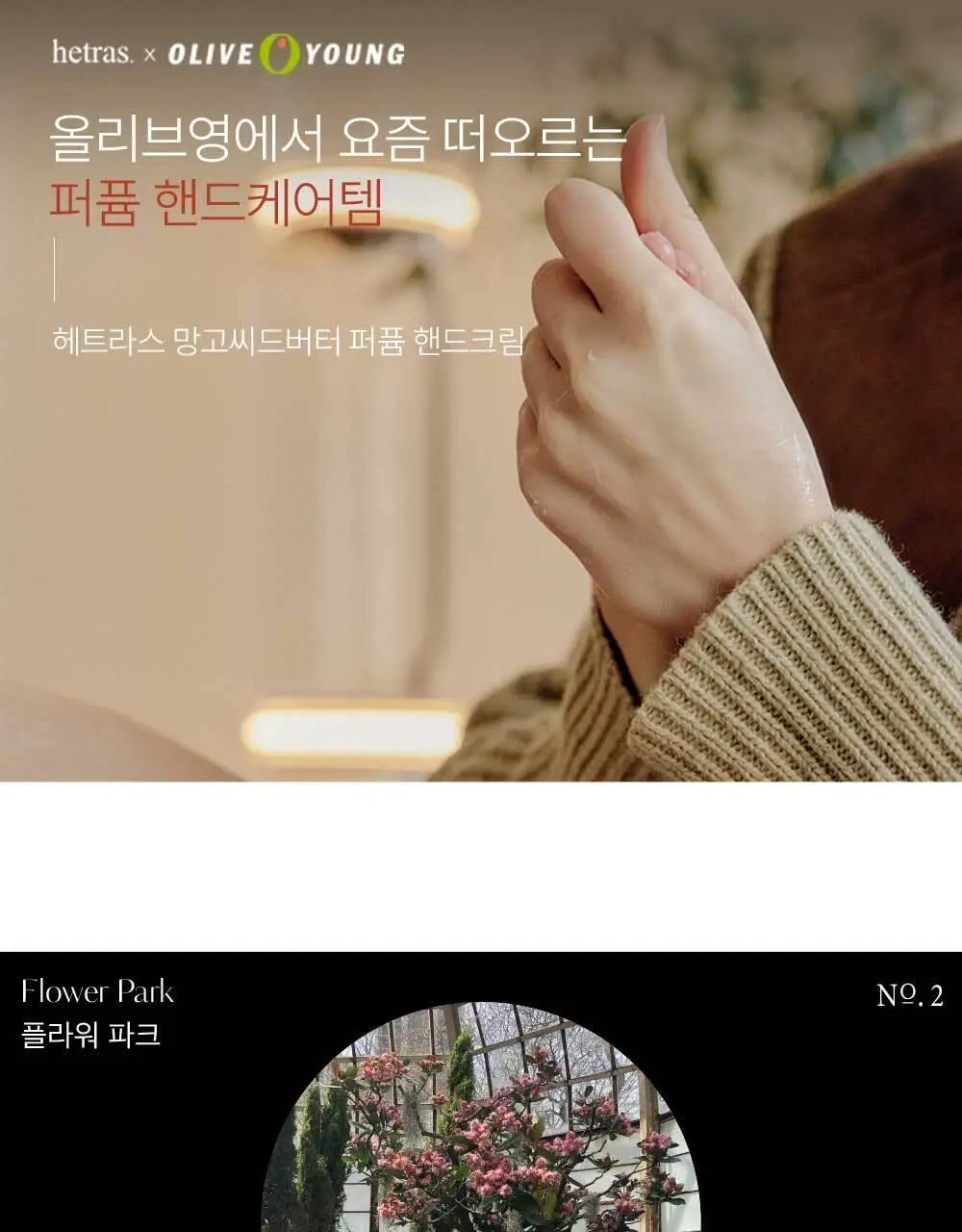 헤트라스 망고씨드버터 퍼퓸 핸드크림 50ml 헬로키티 에디션 포함 10종 택1 상세페이지 4