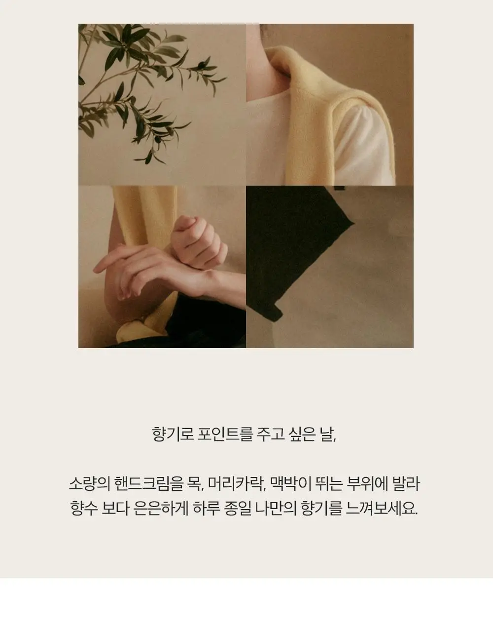 헤트라스 망고씨드버터 퍼퓸 핸드크림 50ml 헬로키티 에디션 포함 10종 택1 상세페이지 47