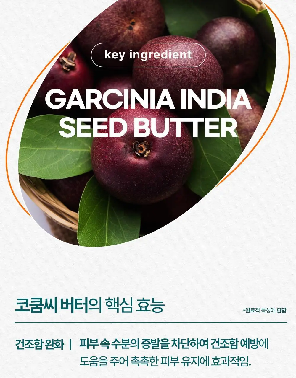 히말라야 너리싱 핸드크림 50ml 상세페이지 7