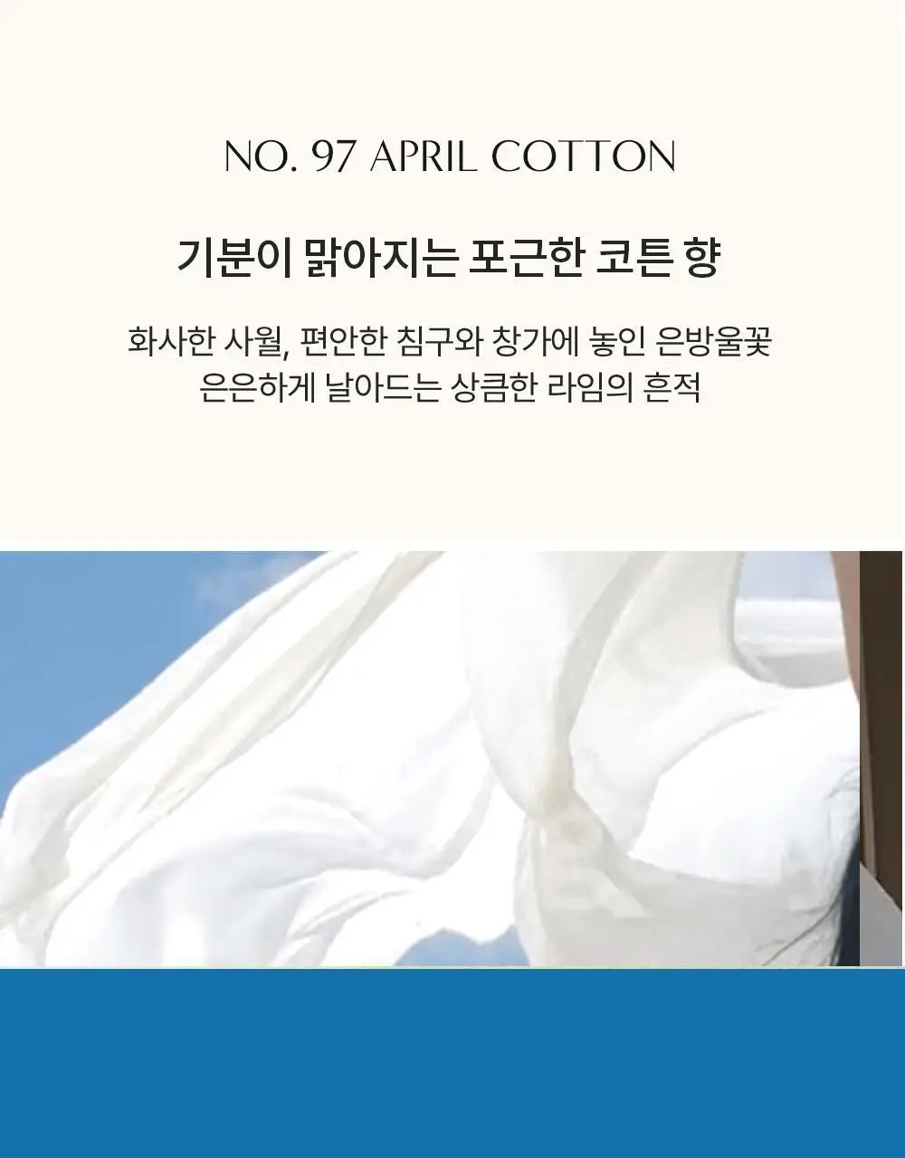 W.DRESSROOM 퍼퓸 핸드크림 No.97 에이프릴코튼 50ml 어워즈 한정기획 (+20ml) 상세페이지 9