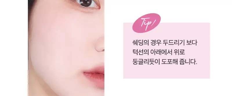 리얼테크닉스 블러쉬 브러쉬 상세페이지 11