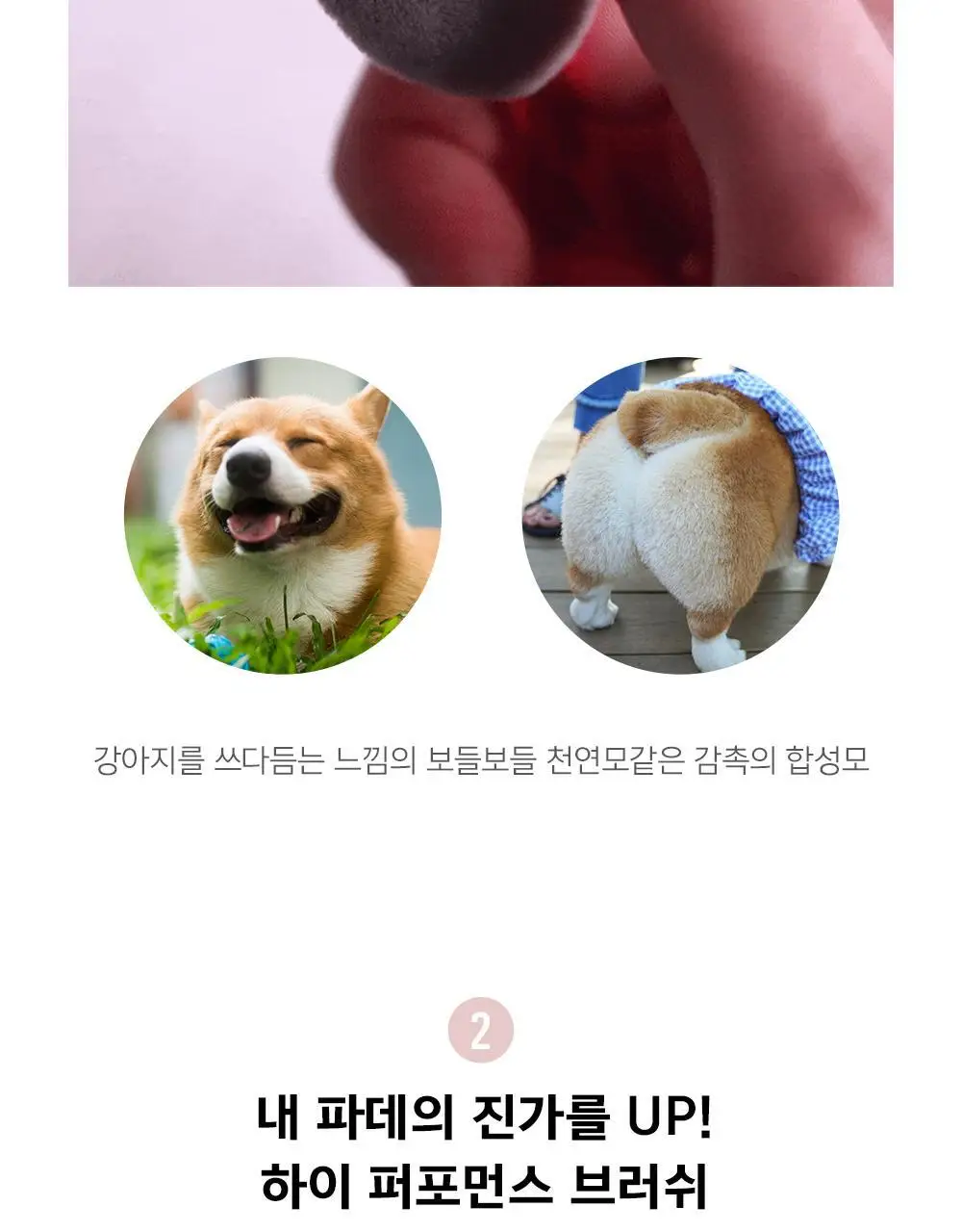 에스쁘아 수퍼 소프트 페이스 브러쉬(댕댕이 브러쉬) 상세페이지 3