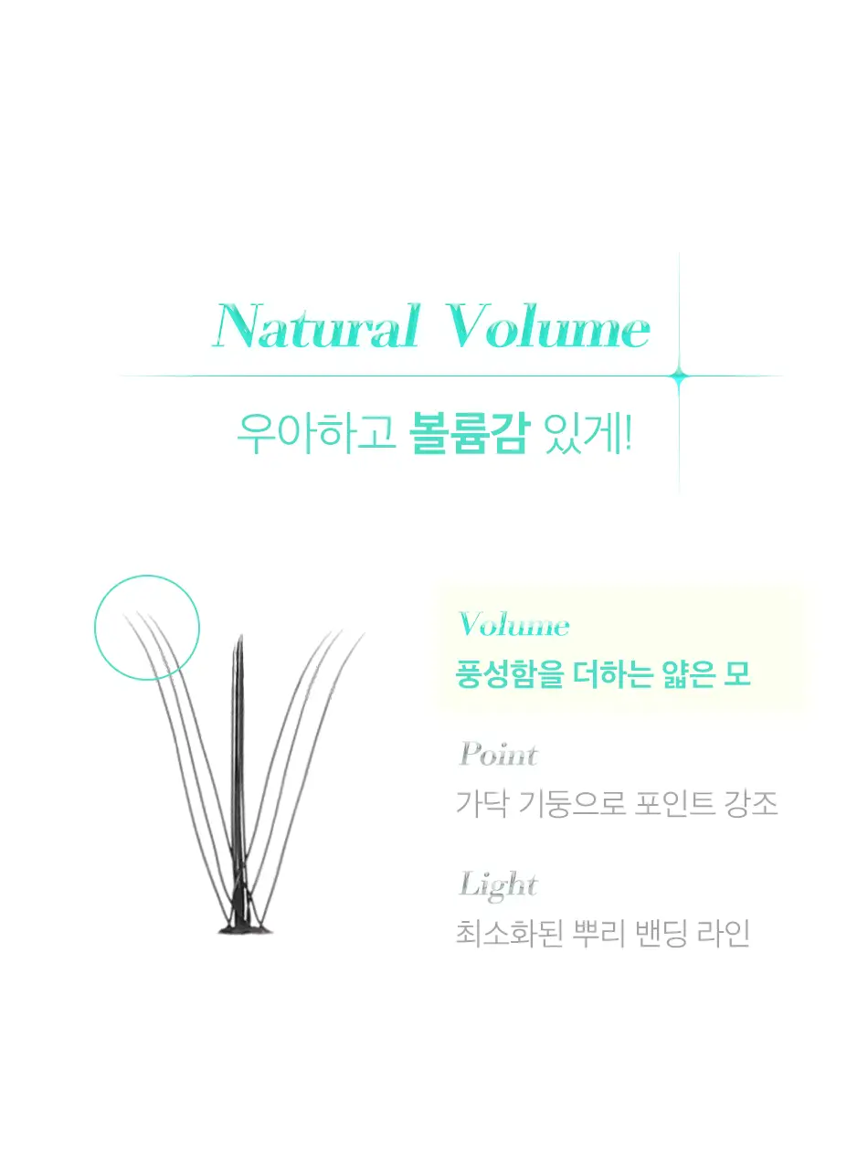 코링코 톡톡하라 더블유 속눈썹 블랙 혼합기획/9/10/11/12mm 중 택1 상세페이지 12