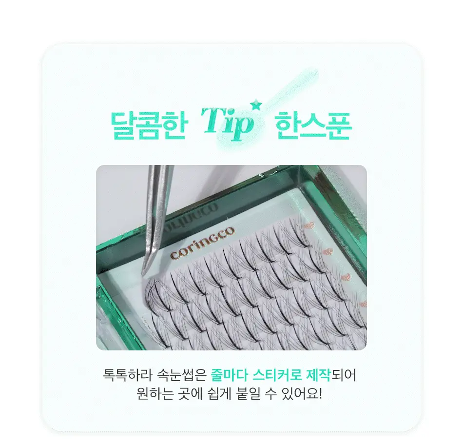 코링코 톡톡하라 더블유 속눈썹 블랙 혼합기획/9/10/11/12mm 중 택1 상세페이지 28