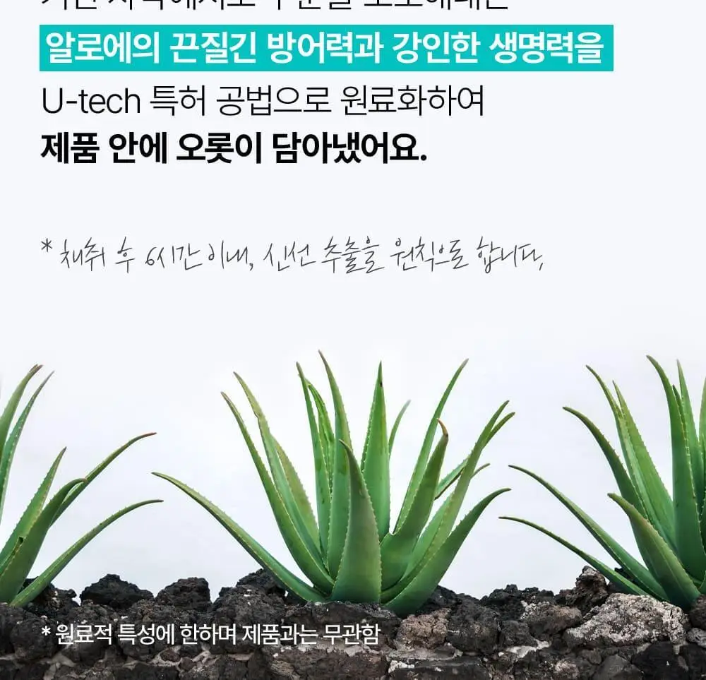 김정문알로에 큐어 아쿠아 마일드 쿨링 선쿠션 리필 기획(25g+리필) 상세페이지 20