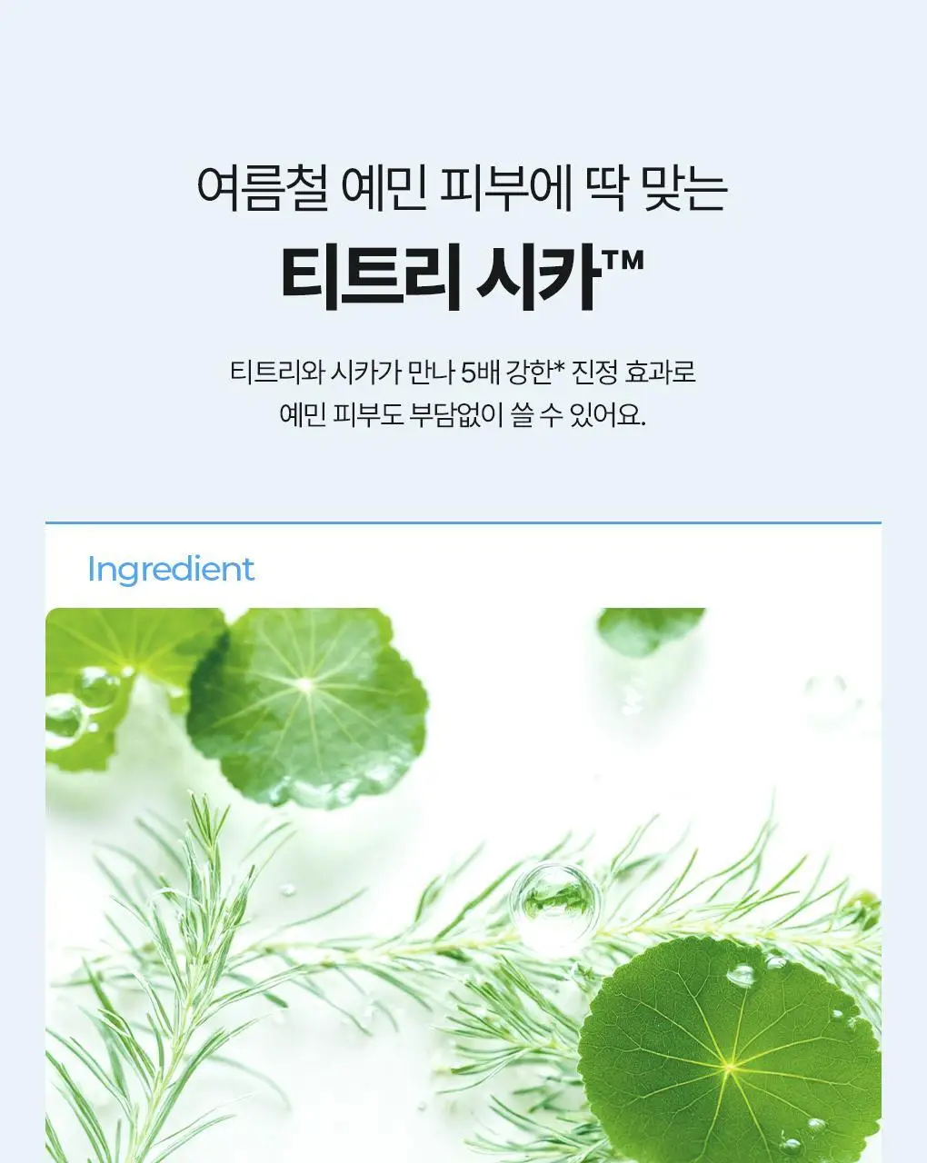 브링그린 티트리 시카 톤업 선쿠션 15g 상세페이지 26