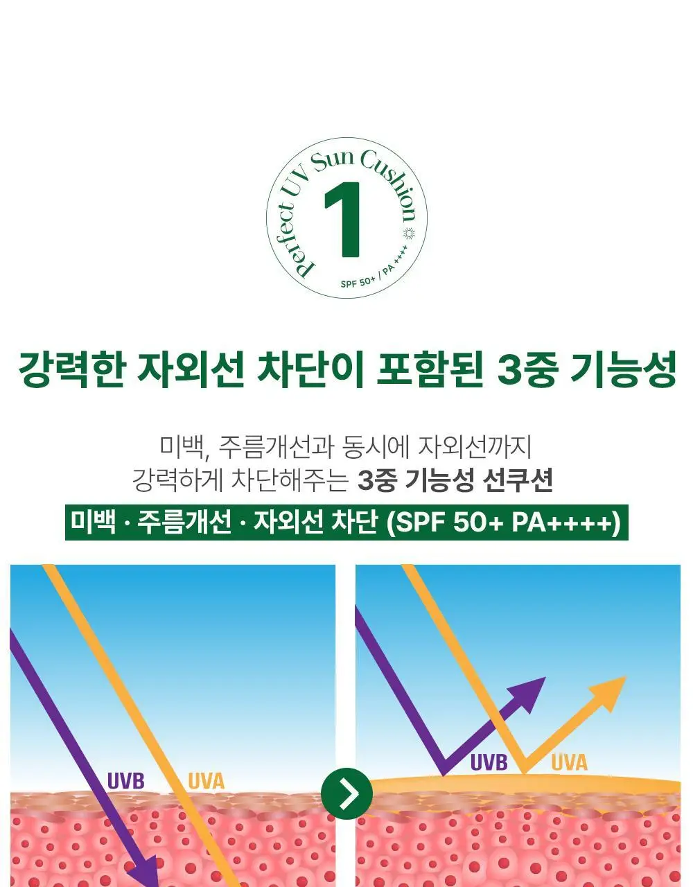 텐제로 퍼펙트 유브이 선쿠션 20g 상세페이지 9