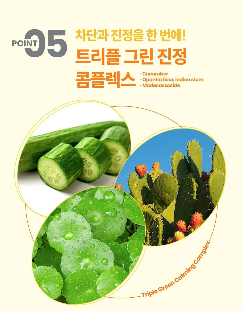더마비 에브리데이 선블록 200ml 상세페이지 18
