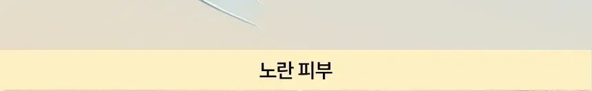 딘시 프리미엄 비건 블루 톤업 선크림 50ml+20ml 증량기획 상세페이지 7