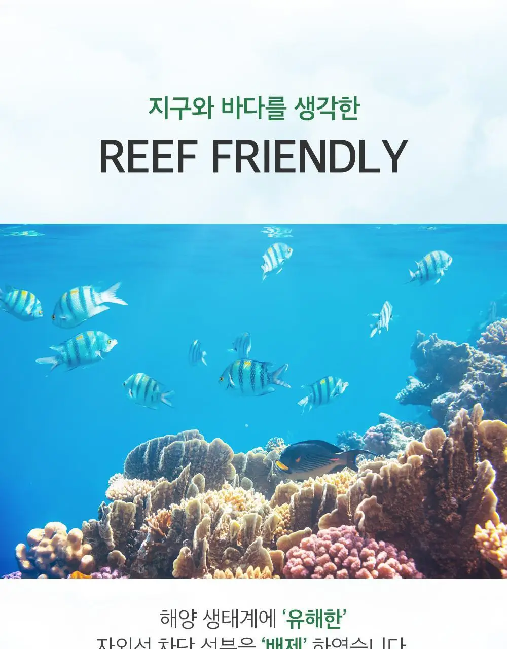 믹순 콩 선세럼 50ml 상세페이지 18