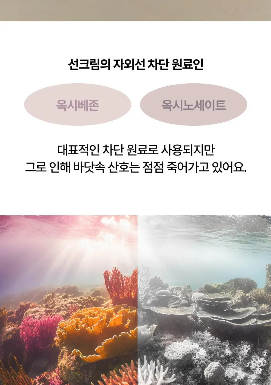 어바웃미 비 클린 톤업 선 1+1 기획(50ml+50ml) 상세페이지 31
