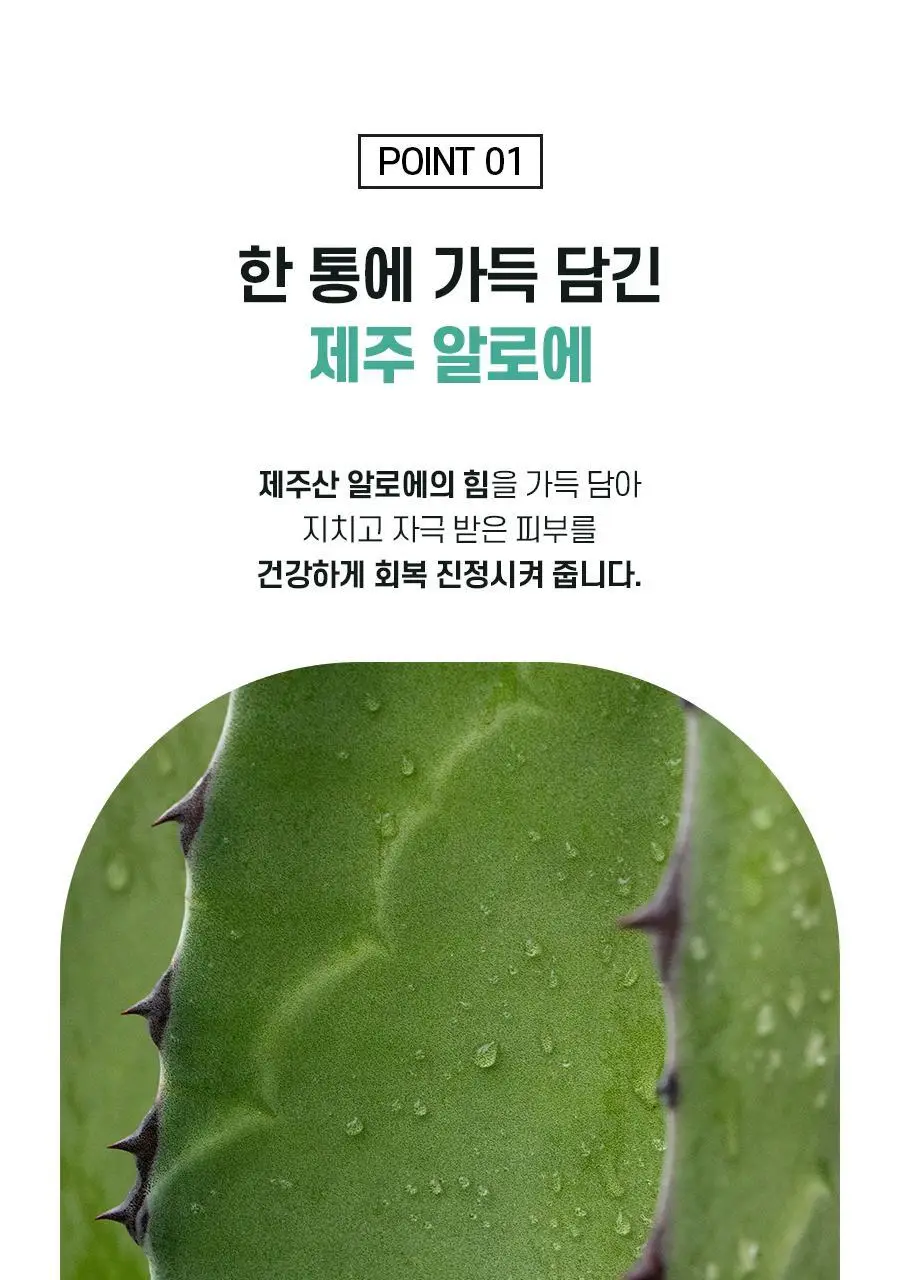 식물나라 제주 알로에 촉촉 수딩젤 200mL 상세페이지 4