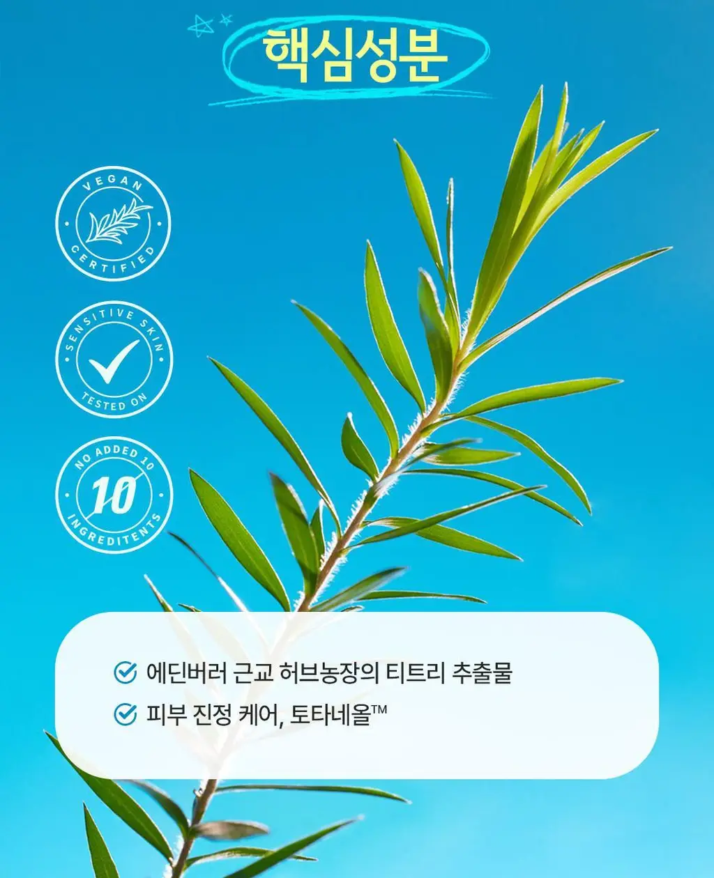 빌리프 프라블럼 솔루션 비건 모이스춰라이저 100ml 상세페이지 4