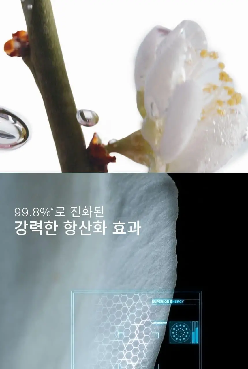 설화수 자음유액EX 125ml 상세페이지 9