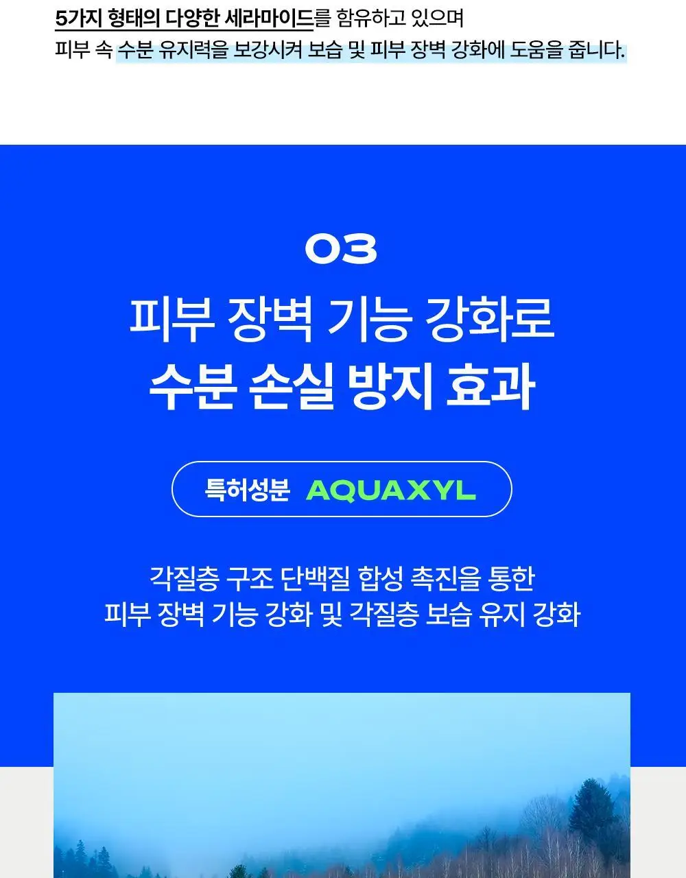 그라운드랩 올인원 모이스처라이저 스킨 로션 200ml 상세페이지 11