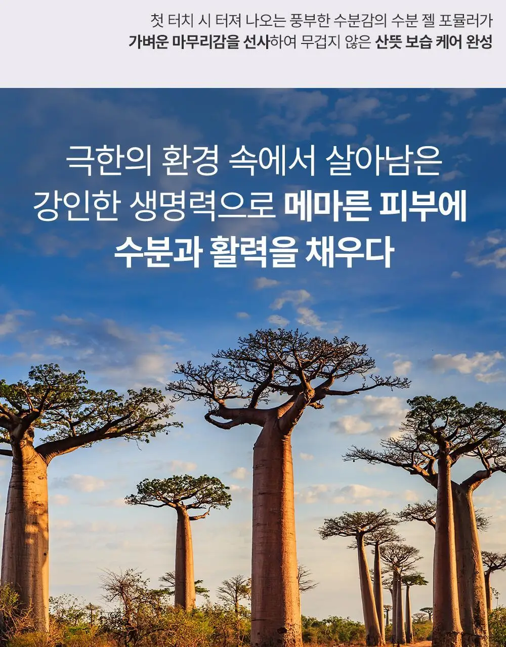 네이처리퍼블릭 아프리카 버드 옴므 올인원 모이스처라이저 150ml 상세페이지 6