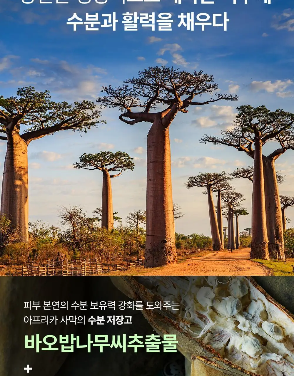 네이처리퍼블릭 아프리카 버드 옴므 올인원 프레시 밸런서 150ml 상세페이지 8