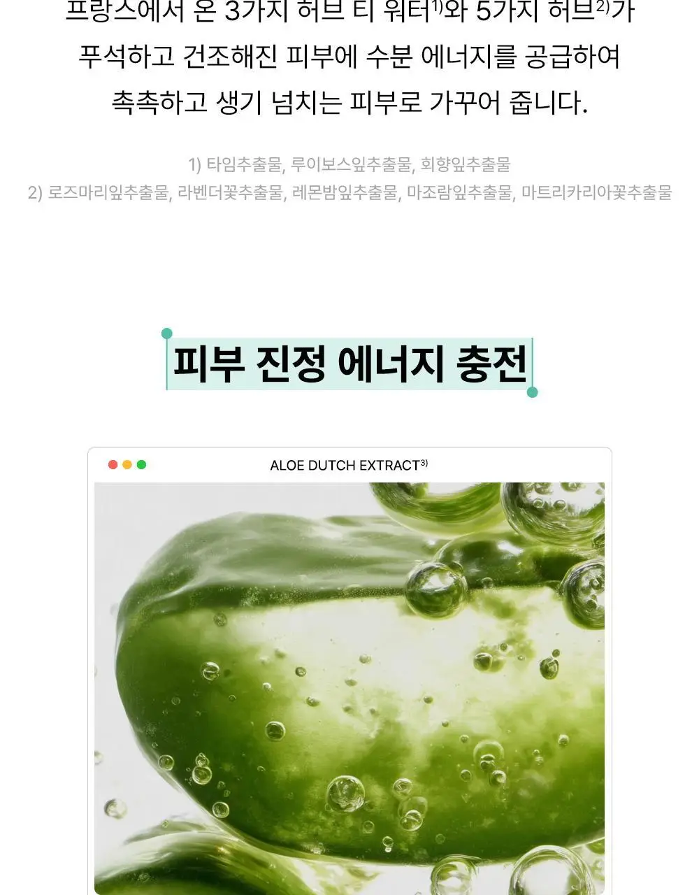 더샘 에코 에너지 올인원 2종 택 1 상세페이지 25