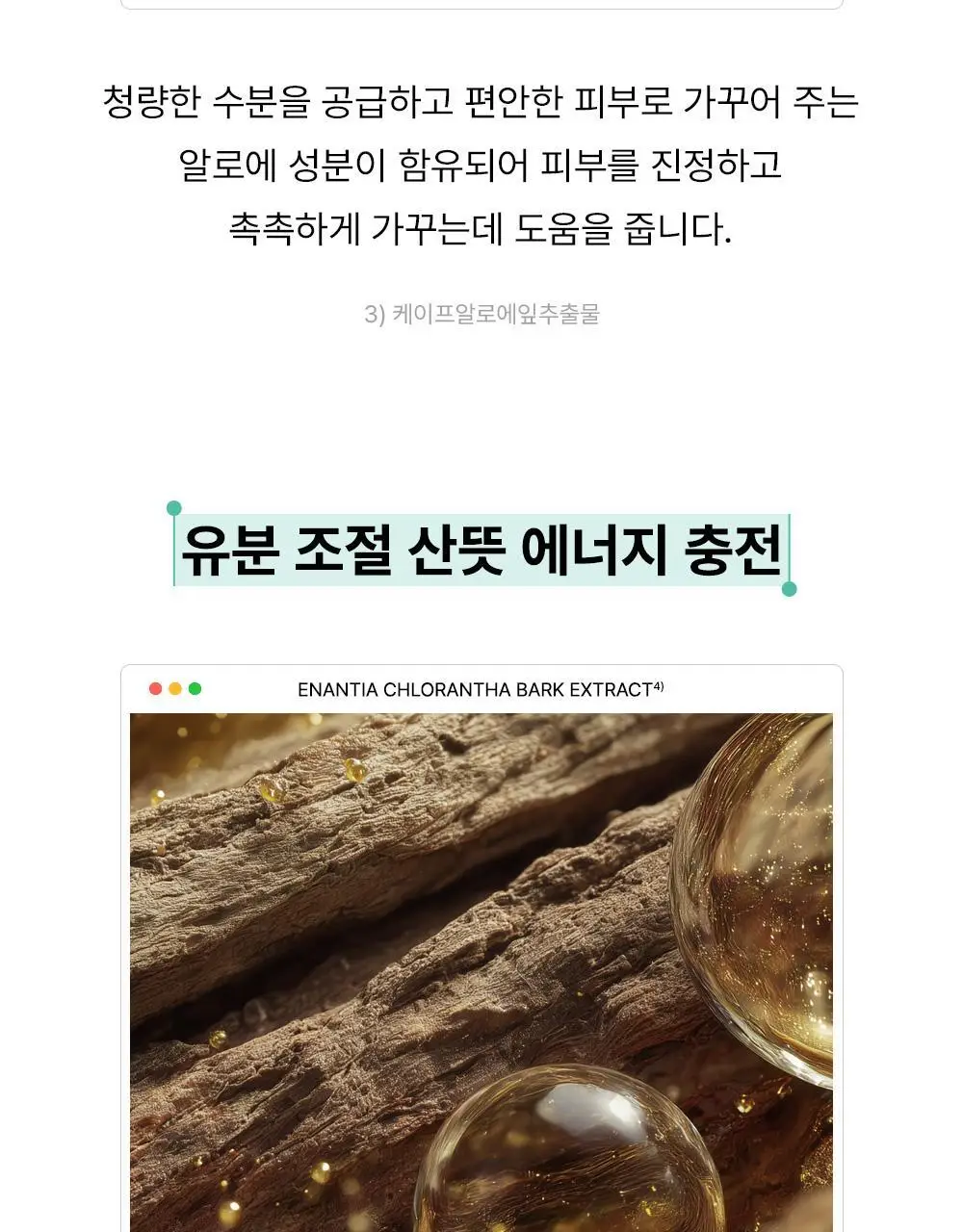 더샘 에코 에너지 올인원 2종 택 1 상세페이지 26