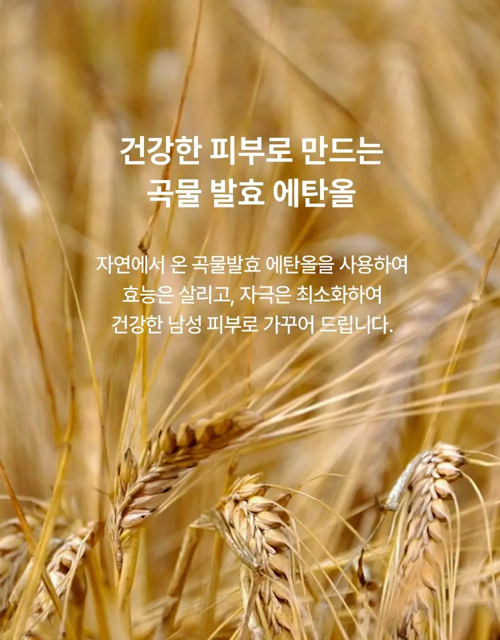 보나쥬르 퓨어마일드 맨 올인원 모이스쳐라이저 120ml 상세페이지 13