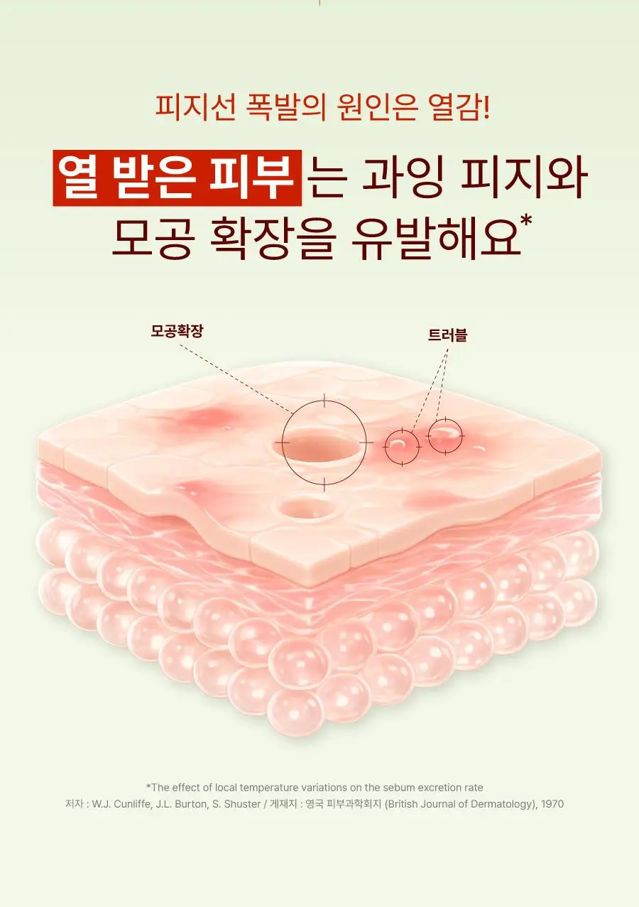 모토몬트 말차 캄 페이셜 미스트 100ml 상세페이지 4