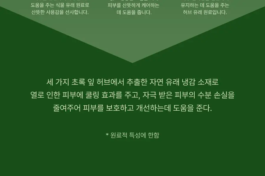 모토몬트 말차 캄 페이셜 미스트 100ml 상세페이지 13