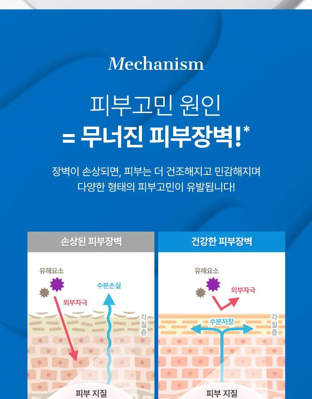 코스알엑스 더 세라마이드 스킨 베리어 모이스처라이징 미스트 120ml 상세페이지 12