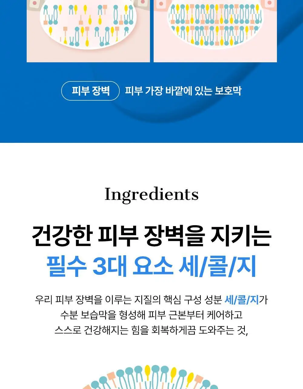 코스알엑스 더 세라마이드 스킨 베리어 모이스처라이징 미스트 120ml 상세페이지 13