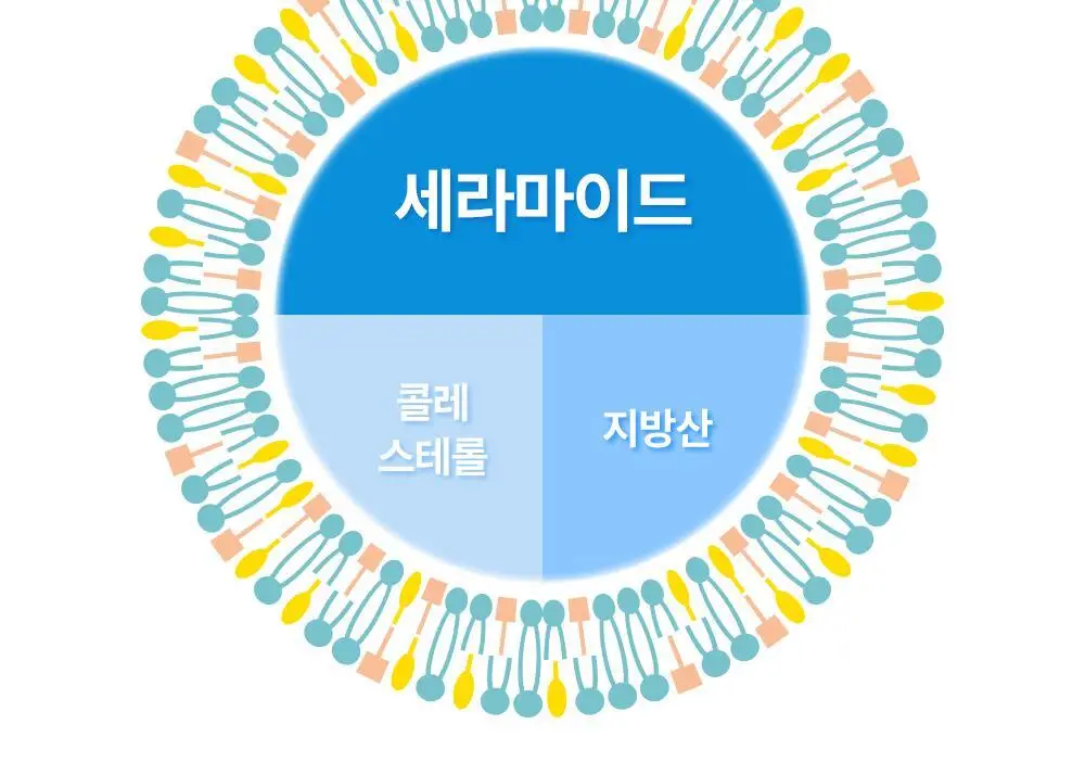 코스알엑스 더 세라마이드 스킨 베리어 모이스처라이징 미스트 120ml 상세페이지 14