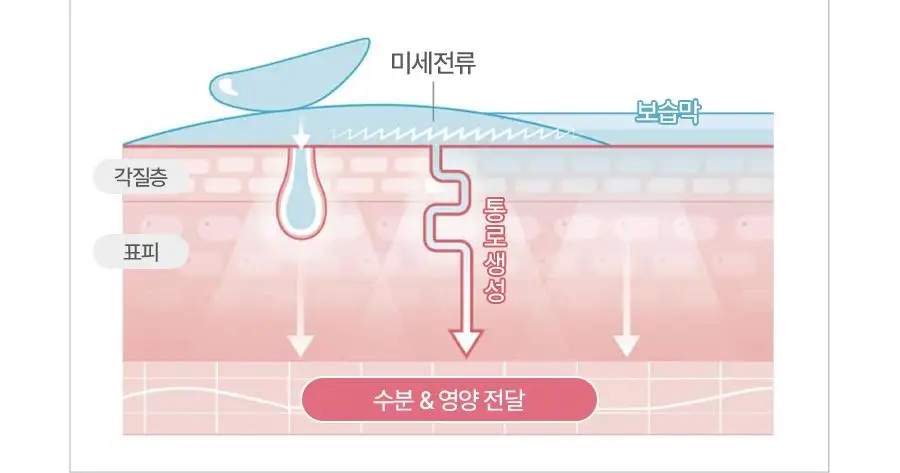 페이스팩토리 피코세라 부스터즈 프로 상세페이지 22
