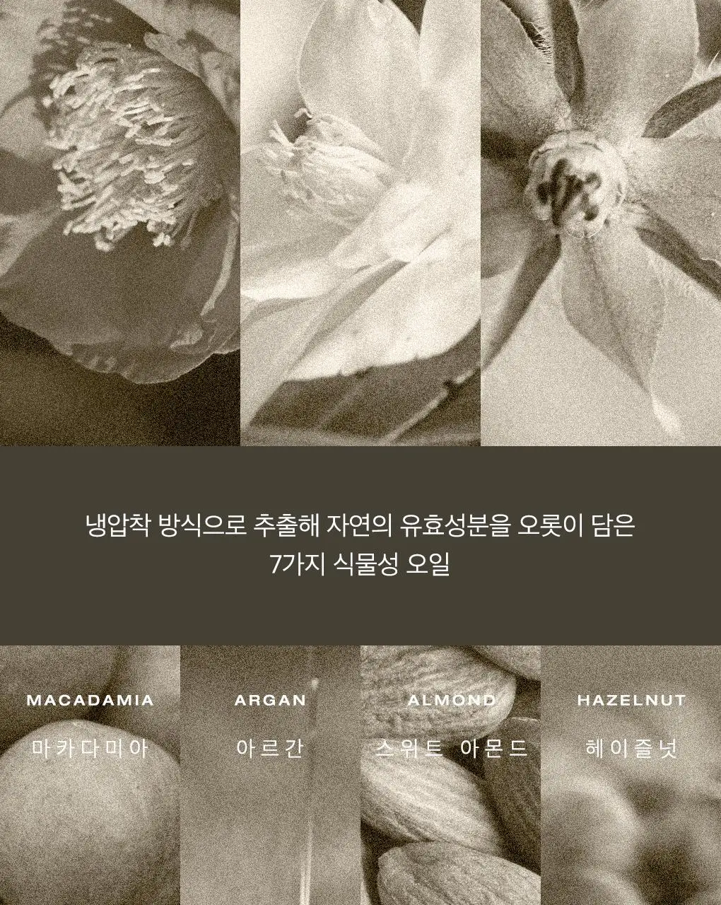 눅스 베스트셀러 기프트 2종 기획 (드라이 오일 30ml+레브드미엘 스틱레브르4g)(온)(2604) 상세페이지 7